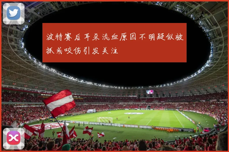 波特赛后耳朵流血原因不明疑似被抓或咬伤引发关注